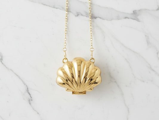 Acrylic Golden Mini Shell Clutch