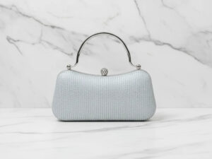 Silver Double Handle Clutch