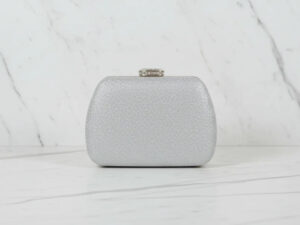 Silver Fancy Clutch