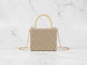 Golden Mini Box Clutch